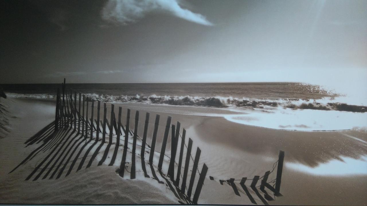 Driftwood * Уэймут